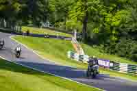 cadwell-no-limits-trackday;cadwell-park;cadwell-park-photographs;cadwell-trackday-photographs;enduro-digital-images;event-digital-images;eventdigitalimages;no-limits-trackdays;peter-wileman-photography;racing-digital-images;trackday-digital-images;trackday-photos